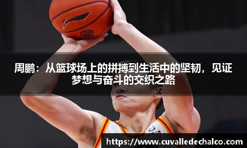 优游国际平台