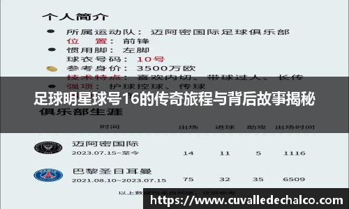 足球明星球号16的传奇旅程与背后故事揭秘